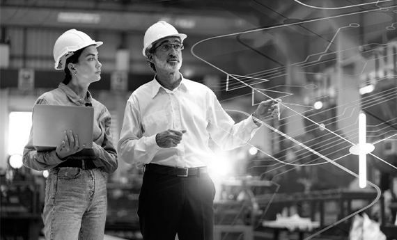 Expertise técnica